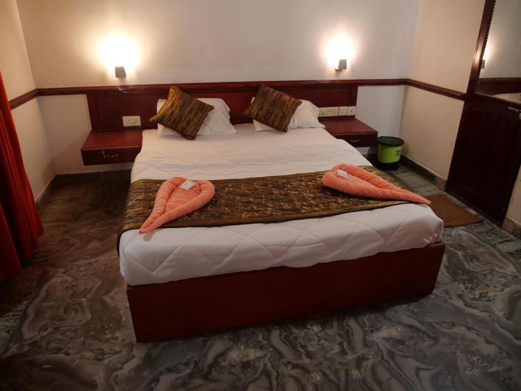 Hosteller'S Varkala Rum bild